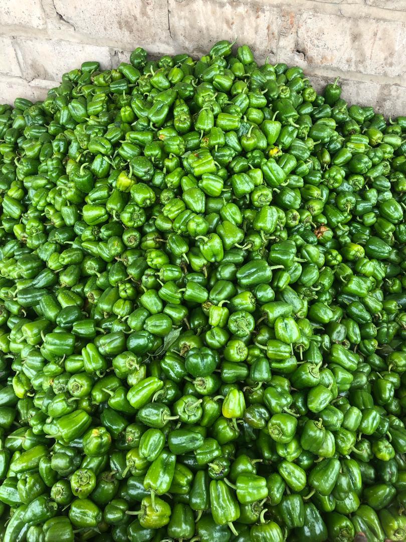 Capsicum - ASM Farms
