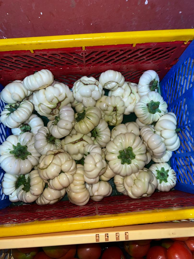 Onions - ASM Farms